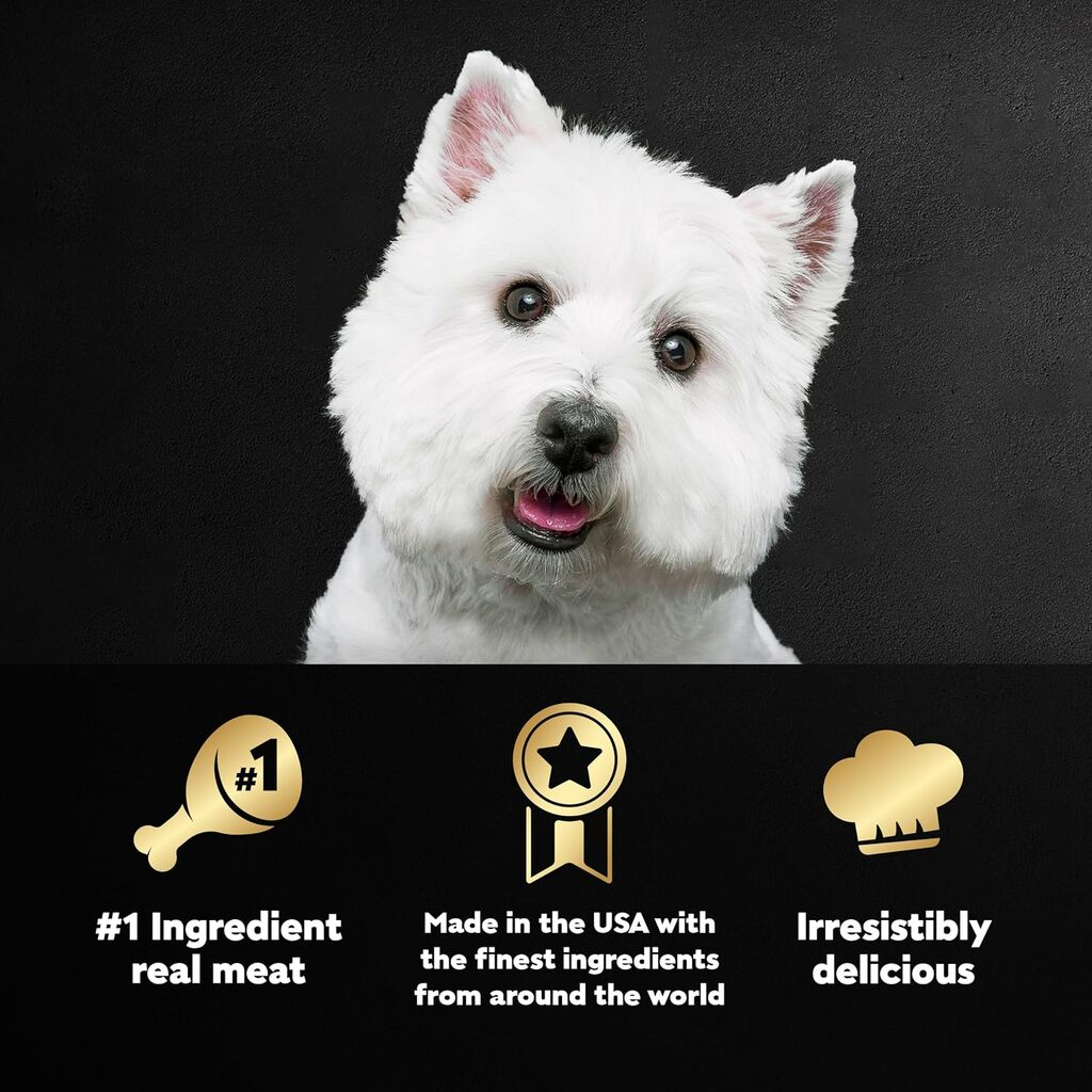 cesar dog food review